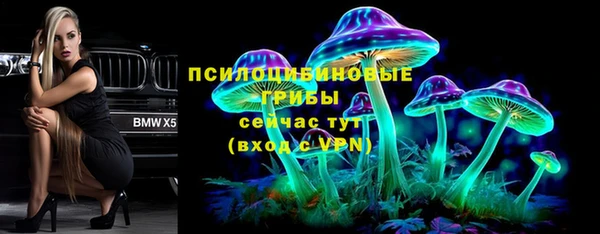 спиды Абаза