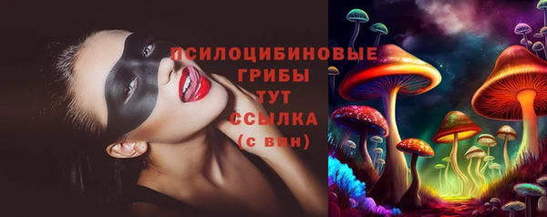 спиды Абаза