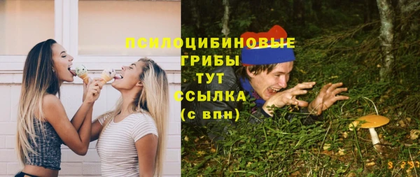 крисы Алексеевка