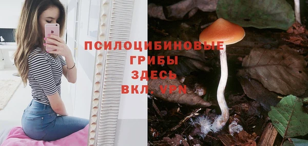 крисы Алексеевка