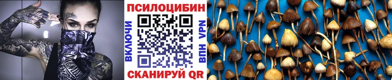 Галлюциногенные грибы Psilocybe Удомля